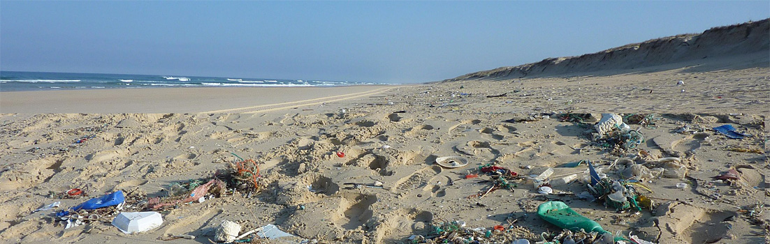 Müllkippe Meer